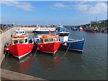 NU2232 : Farne Islands tour boats in Seahouses Harbour by Barbara Carr