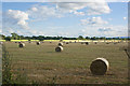 SD5224 : A baled crop by Ian Greig
