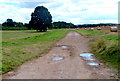 Late August in rural Herefordshire