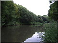 The Chesterfield Canal 