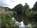 The Chesterfield Canal 