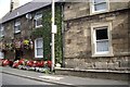 Roadside houses in Thropton