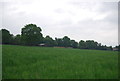 Farmland north of Copthorne