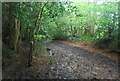 Muddy Sussex Border Path