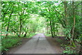 Sussex Border Path, Copthorne Common