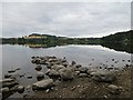 Loch of Clunie