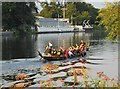 Dragon-boat practice near Lady Bay