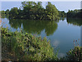 Former gravel pit, Wraysbury