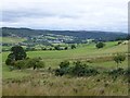 In the foothills of Simonside Hills