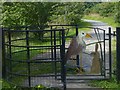 Attractive gate by Lower Boat Pond