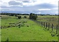 NZ0593 : Trackbed of the old Scot's Gap to Rothbury Railway by Russel Wills