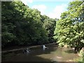 Weir on the River Frome