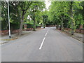 North Park Avenue - looking towards The Avenue