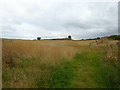 Public footpath towards Pitsford