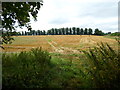 Public footpath to Boughton Green