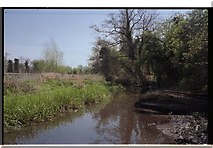 TQ0586 : River Misbourne Denham Country Park by David Leeming