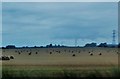 Dovecote Farm under a louring sky