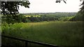 Field at East Anstey