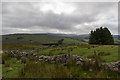 Moorland on Heol Senni Road