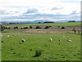 Farmland east of Yieldshields