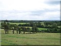 N0429 : Bocage landscape at Clonfinlough by Eric Jones