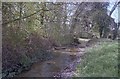 River Misbourne near a footbridge at Isle of Wight Farm