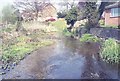 River Misbourne Higher Denham