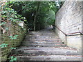 Footpath & Steps - Shroggs Park