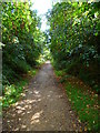 Footpath in Stockley Park going south from Goulds Green