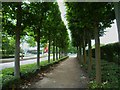 Path going west on the north side of Bennetsfield Road