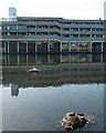 Thamesmead South Estate, Tavy Bridge