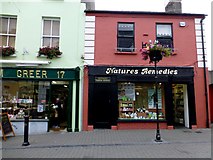 S6012 : Natures Remedies, Waterford by Kenneth  Allen