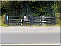SK8934 : Footpath off Harlaxton Road by David Dixon