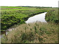 Confluence of Mouse Water and Dippool Water