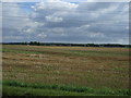 Farmland, North Harby