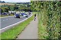 Cycle Path