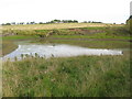 Small Loch west of Braehead