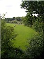 Footpath to City of Whiteborough Farm