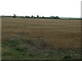 Farmland off Eastfield Lane