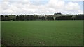 Arable land near Methven