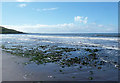 NX0782 : Ballantrae Beach View by Mary and Angus Hogg