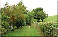 Footpath to the River Thames