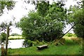 Bench by the river