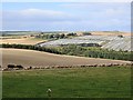 Sheep pasture, Horseley