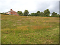 Meadow north of Dingle Lane