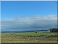 NZ0491 : Rough grazing, Rothley Shield East by Barbara Carr