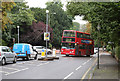 Crystal Palace Park Road