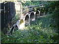 SE2839 : Seven Arches Aqueduct by Oliver Dixon