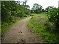 Bridleway south of Horsecombe Farm