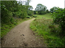 SS8838 : Bridleway south of Horsecombe Farm by Maurice D Budden
